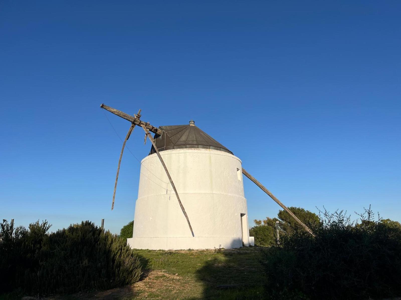 Estudio Los Mellis Vejer de la Frontera Extérieur photo